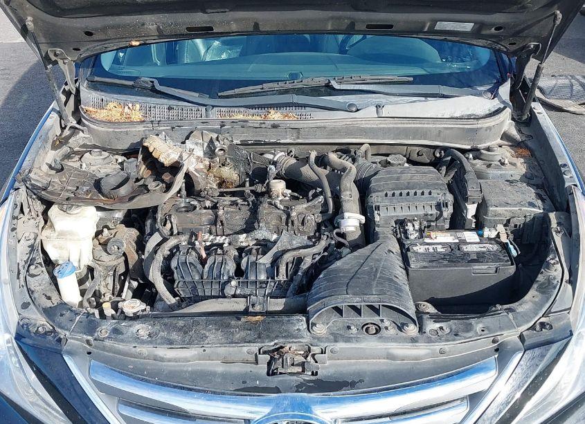 Photo 10 of 2014 Hyundai Sonata LIMITED 2.0T (VIN 5NPEC4AB0EH933234)