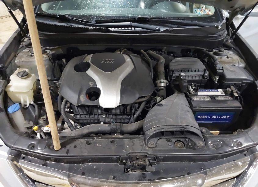 Photo 10 of 2013 Hyundai Sonata LIMITED 2.0T (VIN 5NPEC4AB1DH701661)