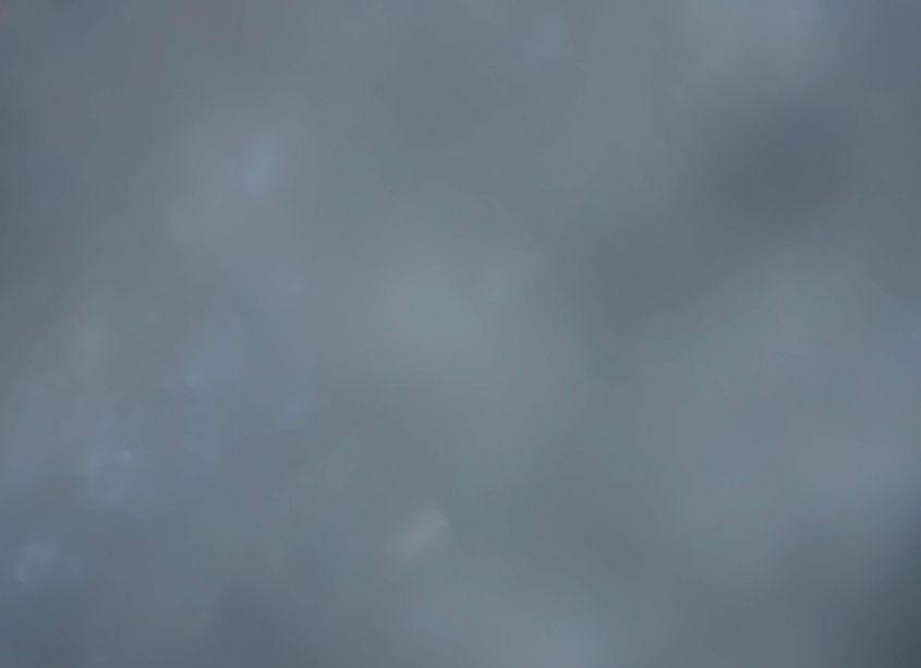 Photo 10 of 2011 Hyundai Sonata LIMITED (VIN 5NPEC4AC0BH021790)