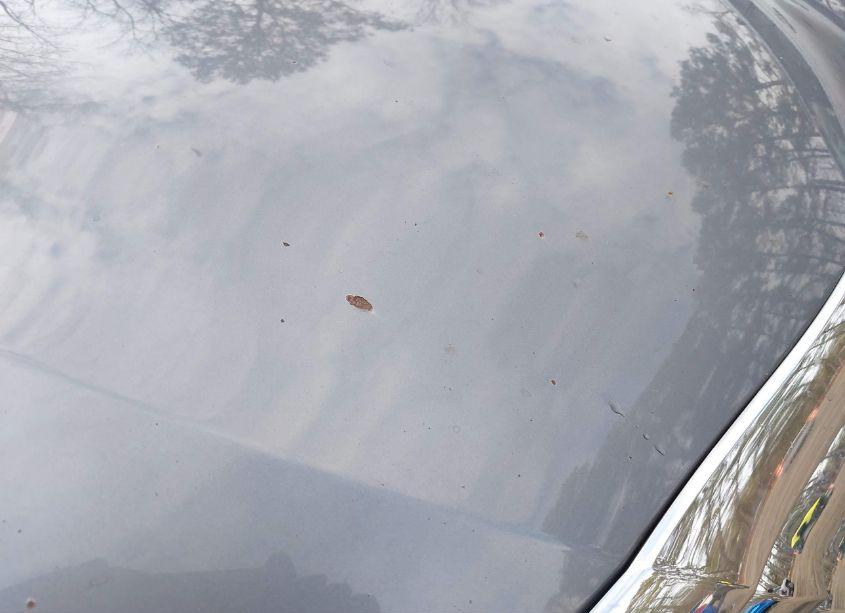 Photo 12 of 2011 Hyundai Sonata LIMITED (VIN 5NPEC4AC0BH187100)