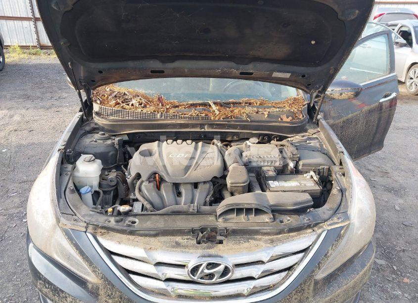 Photo 10 of 2013 Hyundai Sonata SE (VIN 5NPEC4AC3DH738977)