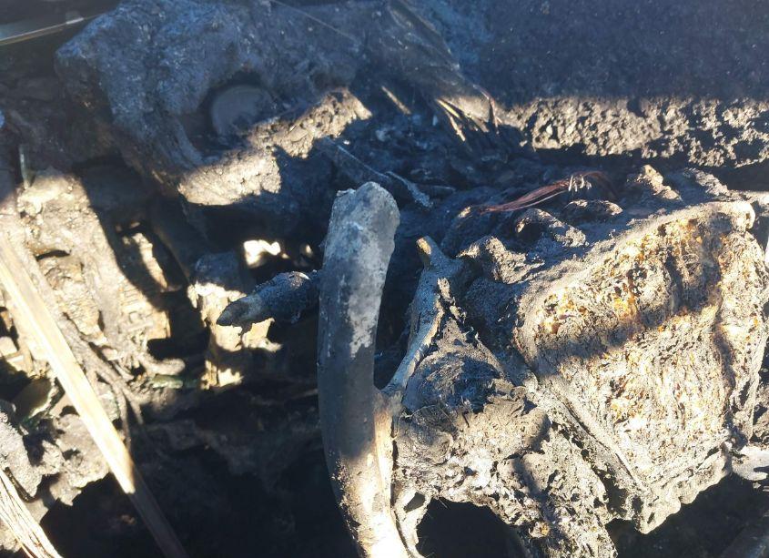 Photo 16 of 2013 Hyundai Sonata SE (VIN 5NPEC4AC4DH598406)