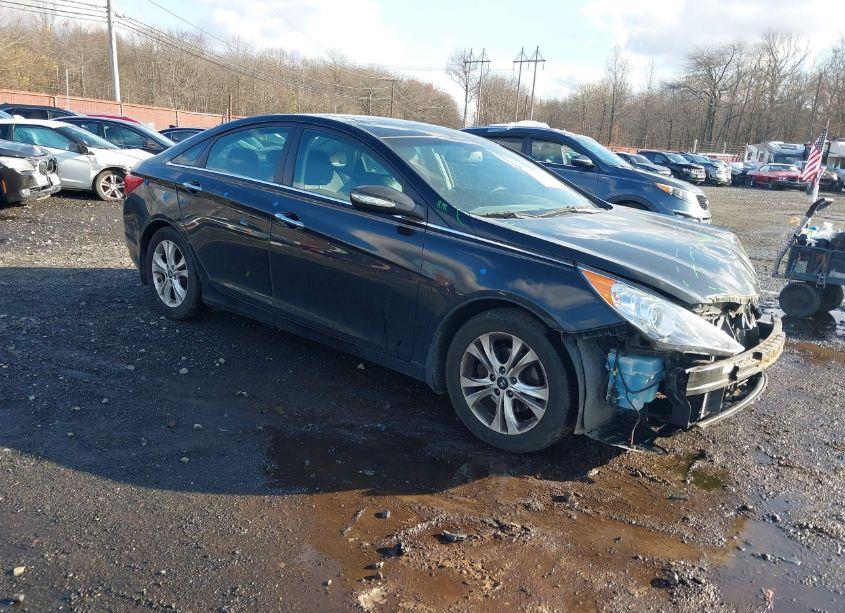 2013 Hyundai Sonata LIMITED (VIN 5NPEC4AC4DH648981) main photo