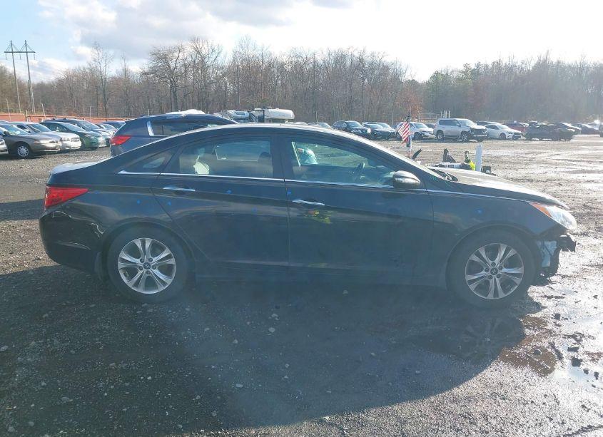 Photo 14 of 2013 Hyundai Sonata LIMITED (VIN 5NPEC4AC4DH648981)