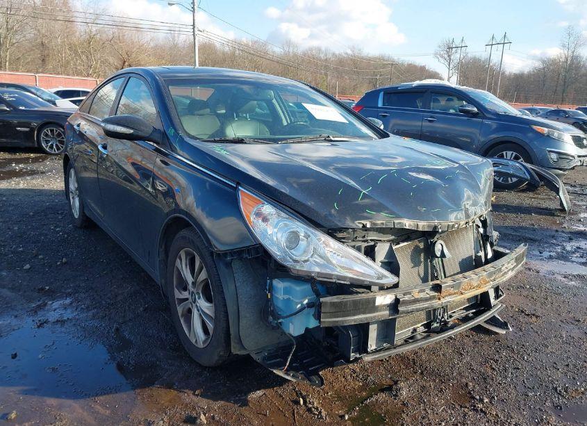 Photo 20 of 2013 Hyundai Sonata LIMITED (VIN 5NPEC4AC4DH648981)