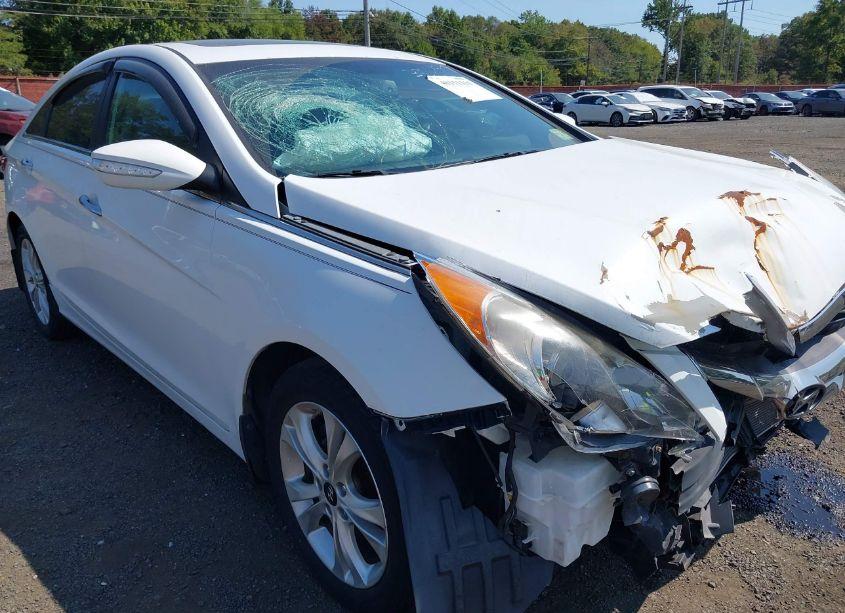 Photo 13 of 2013 Hyundai Sonata LIMITED (VIN 5NPEC4AC4DH650844)