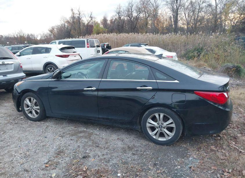 Photo 14 of 2013 Hyundai Sonata LIMITED (VIN 5NPEC4AC7DH597458)
