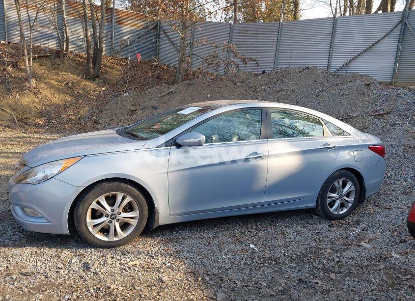 Photo 14 of 2013 Hyundai Sonata LIMITED (VIN 5NPEC4ACXDH516663)