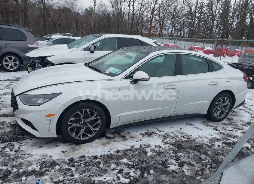 Photo 14 of 2020 Hyundai Sonata SEL (VIN 5NPEF4JAXLH037938)