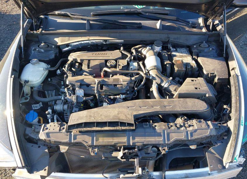 Photo 10 of 2021 Hyundai Sonata LIMITED (VIN 5NPEH4J23MH080800)