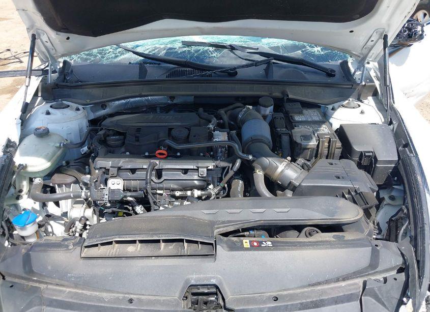 Photo 10 of 2021 Hyundai Sonata LIMITED (VIN 5NPEH4J29MH064553)