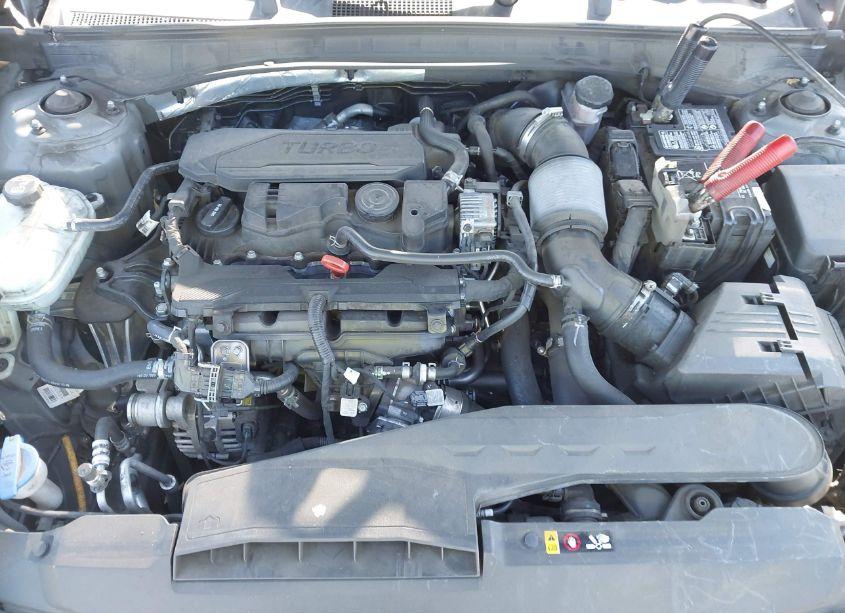 Photo 10 of 2020 Hyundai Sonata SEL PLUS (VIN 5NPEJ4J2XLH010990)