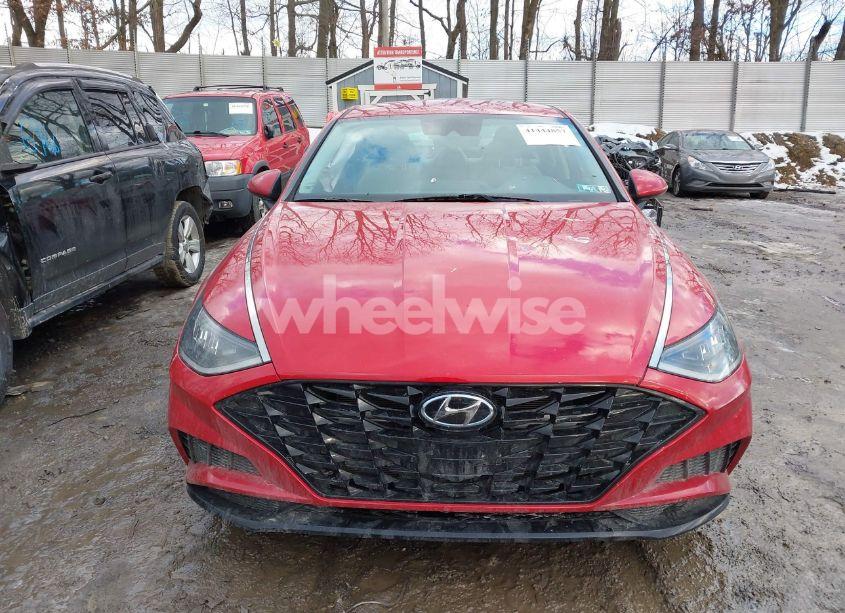 Photo 13 of 2020 Hyundai Sonata SEL (VIN 5NPEL4JA5LH035099)