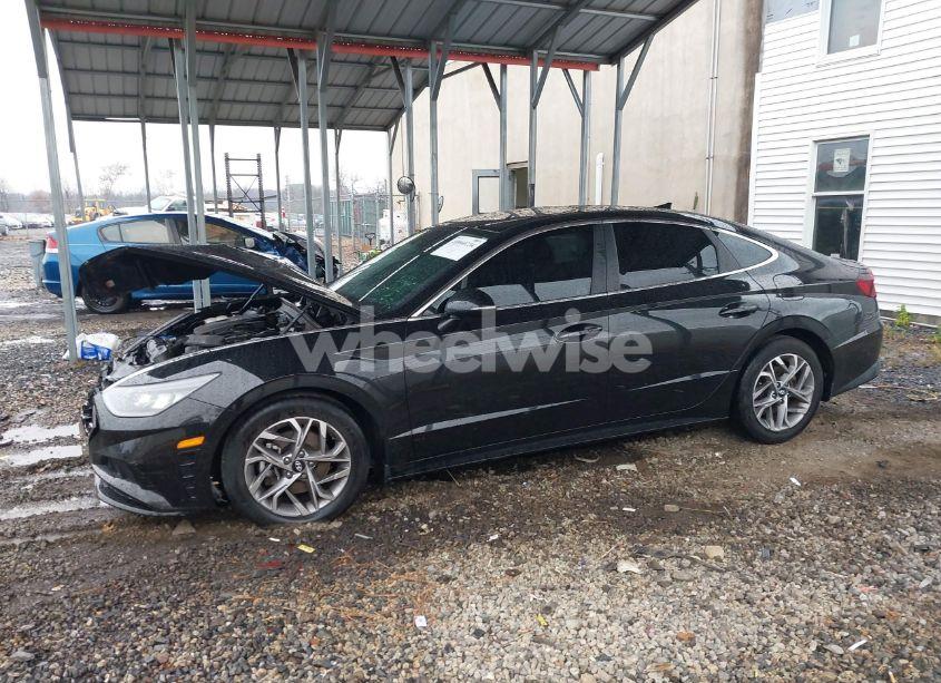 Photo 15 of 2021 Hyundai Sonata SEL (VIN 5NPEL4JAXMH094568)