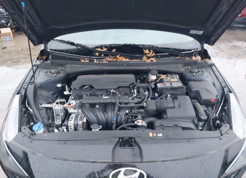 Photo 10 of 2022 Hyundai Elantra SEL (VIN 5NPLM4AG9NH071065)
