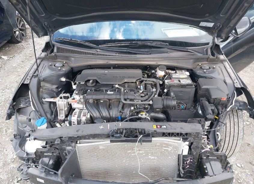 Photo 10 of 2023 Hyundai Elantra SEL (VIN 5NPLS4AG0PH118525)