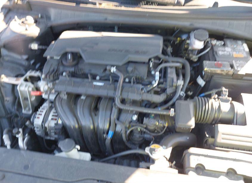 Photo 10 of 2023 Hyundai Elantra SEL (VIN 5NPLS4AG5PH111036)