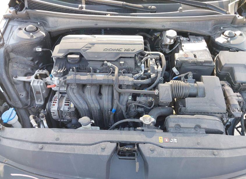 Photo 10 of 2023 Hyundai Elantra SEL (VIN 5NPLS4AG5PH112204)