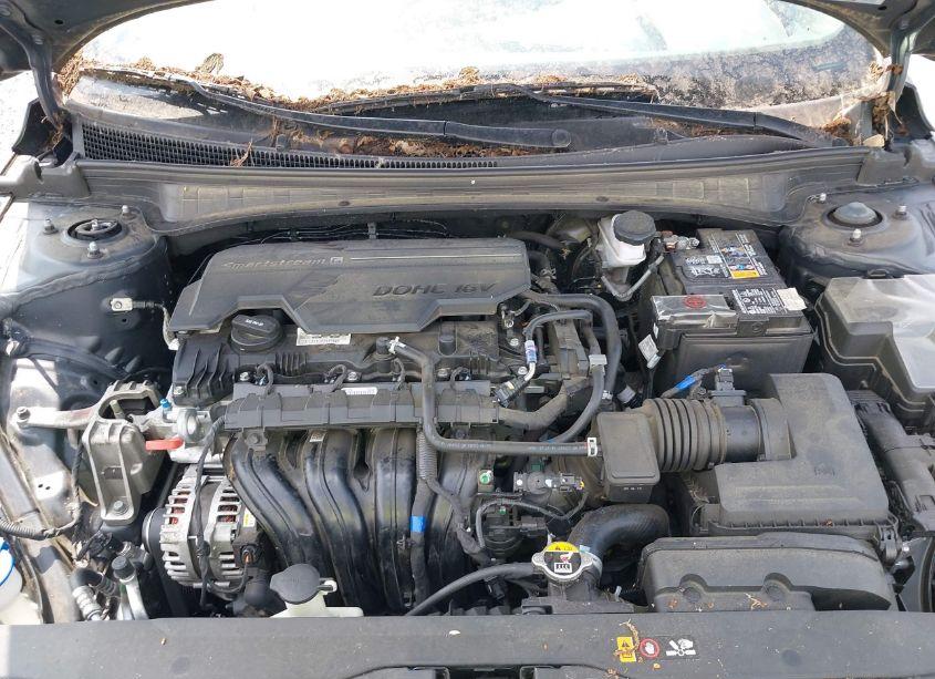 Photo 10 of 2023 Hyundai Elantra SEL (VIN 5NPLS4AG7PH102791)