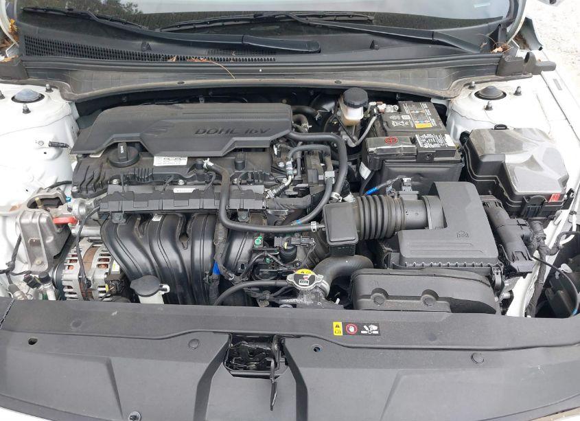 Photo 10 of 2023 Hyundai Elantra SEL (VIN 5NPLS4AG8PH097293)