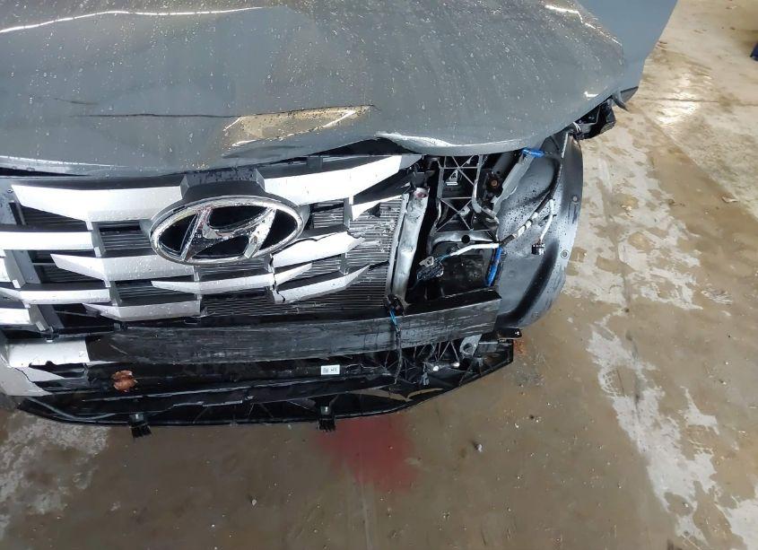 Photo 6 of 2024 Hyundai Santa CRUZ SEL (VIN 5NTJB4DE1RH126042)