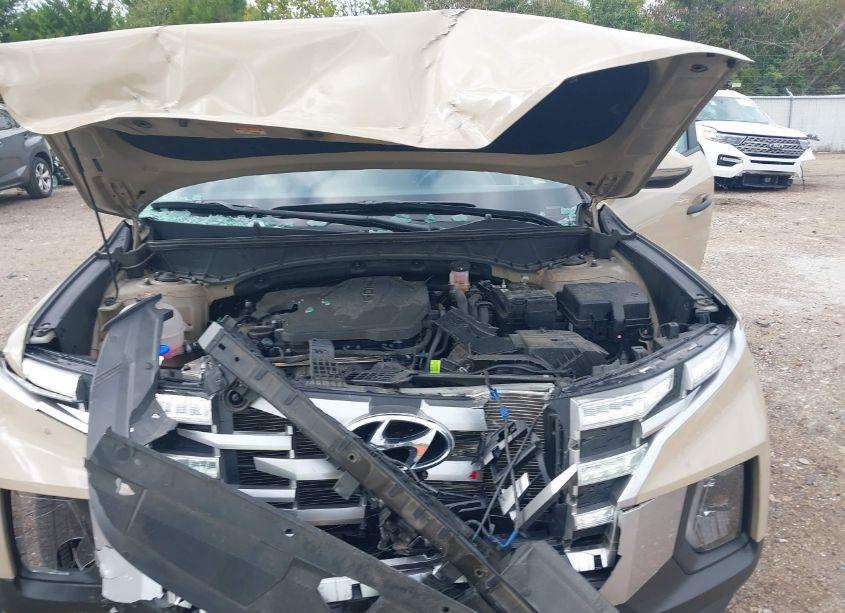 Photo 10 of 2024 Hyundai Santa CRUZ SEL (VIN 5NTJCDAE1RH089852)