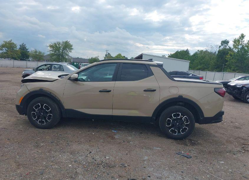 Photo 14 of 2024 Hyundai Santa CRUZ SEL (VIN 5NTJCDAE1RH089852)