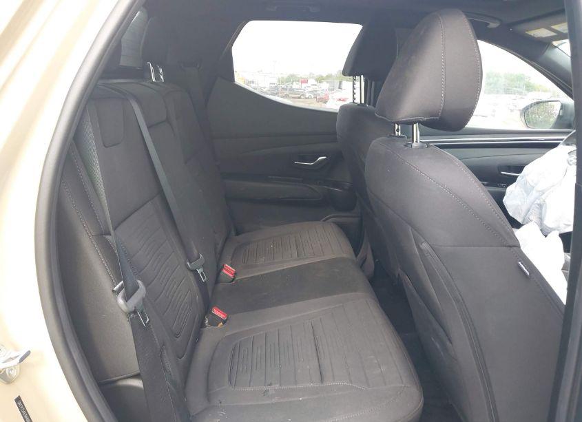 Photo 8 of 2024 Hyundai Santa CRUZ SEL (VIN 5NTJCDAE1RH089852)