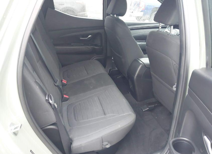 Photo 8 of 2022 Hyundai Santa CRUZ SEL (VIN 5NTJCDAE9NH029795)