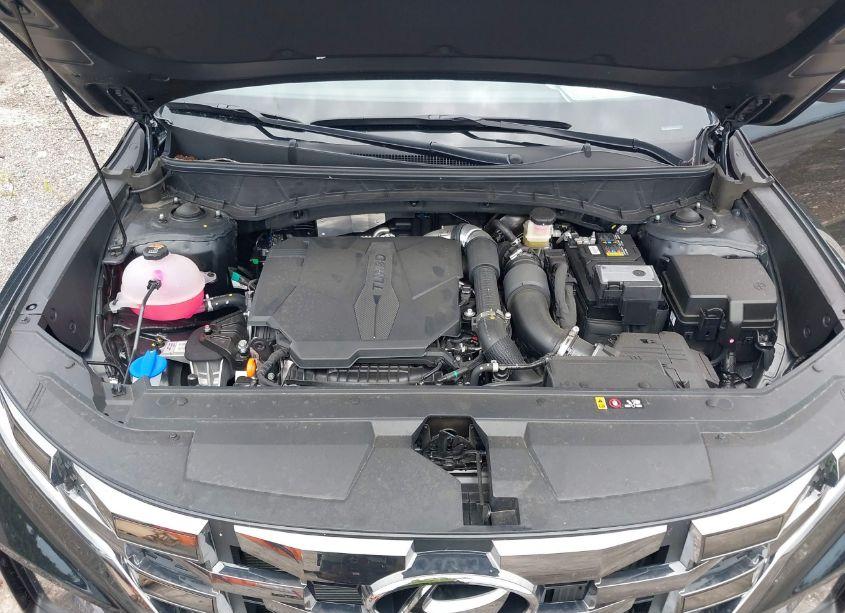 Photo 10 of 2024 Hyundai Santa CRUZ NIGHT (VIN 5NTJCDAF2RH100141)