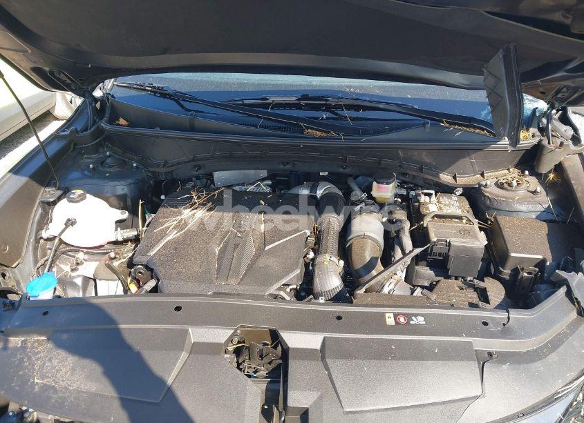 Photo 10 of 2024 Hyundai Santa CRUZ LIMITED (VIN 5NTJEDAF4RH078962)