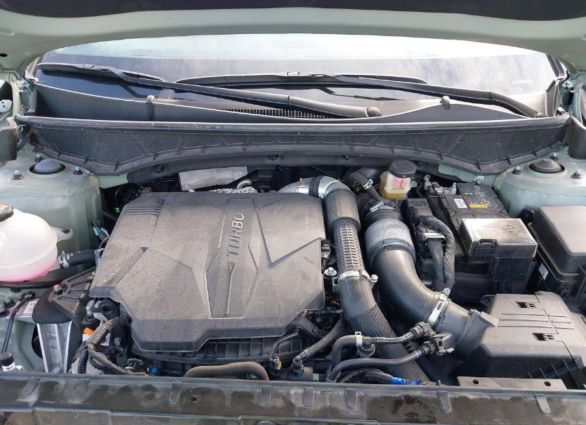 Photo 10 of 2023 Hyundai Santa CRUZ LIMITED (VIN 5NTJEDAF6PH048746)