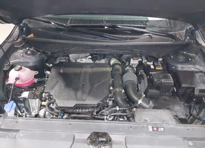 Photo 10 of 2024 Hyundai Santa CRUZ LIMITED (VIN 5NTJEDAF7RH081970)