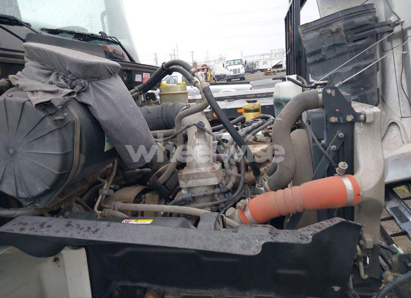 Photo 13 of 2019 Hino 238/258/268 (VIN 5PVNE8JV9K4S57119)