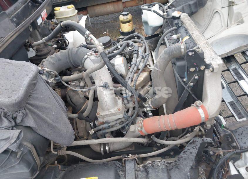 Photo 14 of 2019 Hino 238/258/268 (VIN 5PVNE8JV9K4S57119)