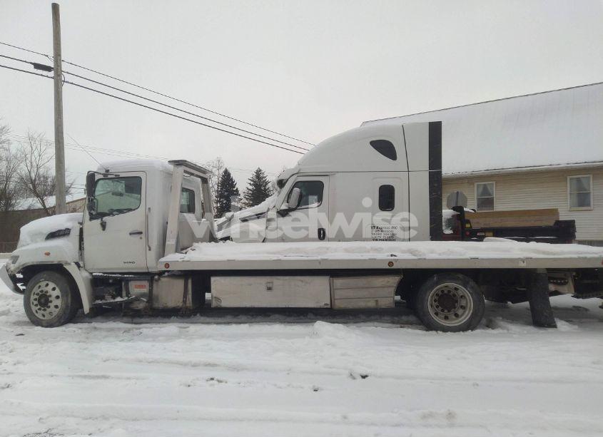 Photo 14 of 2019 Hino 258/268 (VIN 5PVNJ8JR8K4S51584)