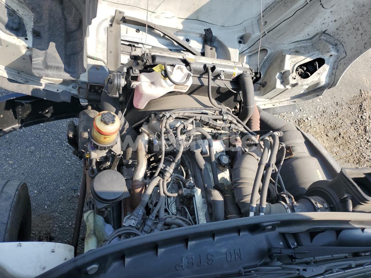 Photo 11 of 2020 HINO 258/268 (VIN 5PVNJ8JV1L4S75191)