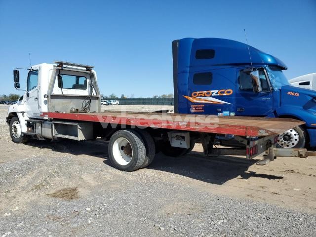 2020 HINO 258/268 (VIN 5PVNJ8JV9L4S75519) main photo