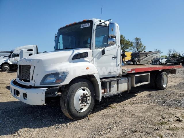 Photo 11 of 2020 HINO 258/268 (VIN 5PVNJ8JV9L4S75519)