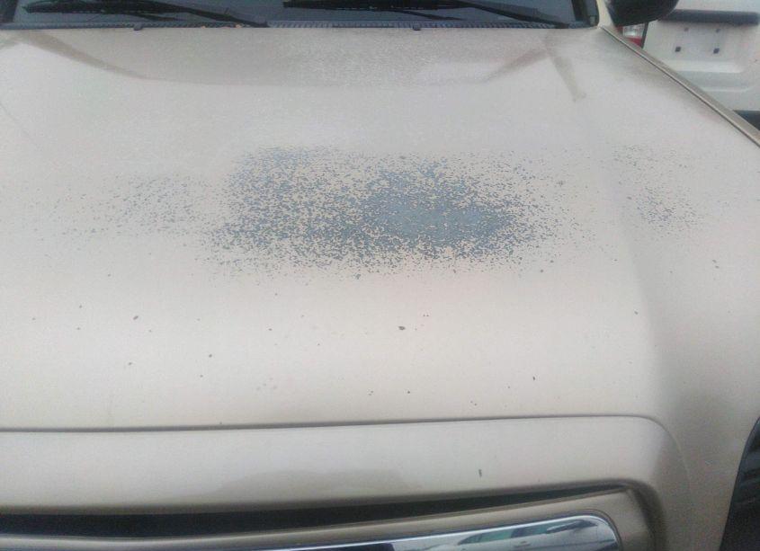 Photo 20 of 2006 Toyota Tundra SR5 V8 (VIN 5TBET34196S541645)