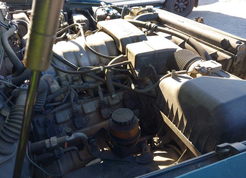 Photo 13 of 2001 Toyota Tundra ACCESS CAB/ACCESS CAB SR5 (VIN 5TBRT34131S202146)