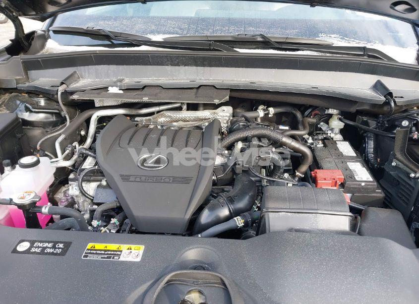 Photo 10 of 2024 Lexus Tx 350 LUXURY (VIN 5TDAAAB66RS011412)