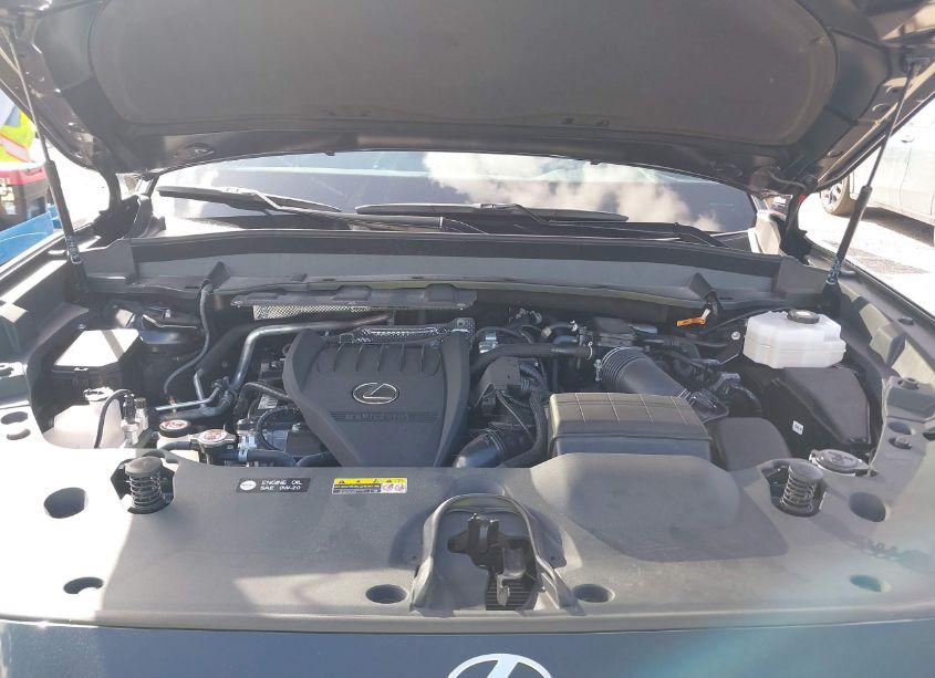 Photo 10 of 2024 Lexus Tx 500H F SPORT PREMIUM (VIN 5TDABAB63RS004091)