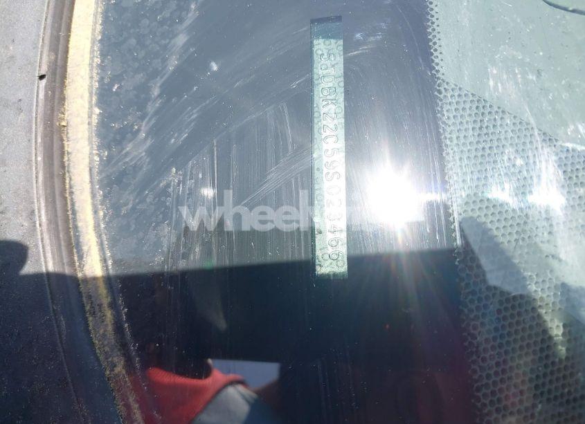 Photo 9 of 2009 Toyota Sienna XLE (VIN 5TDBK22C59S023466)