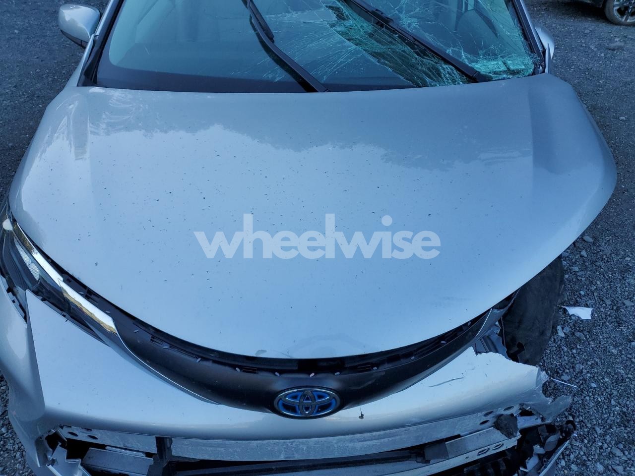 Photo 12 of 2024 TOYOTA SIENNA LE (VIN 5TDBRKEC4RS199724)