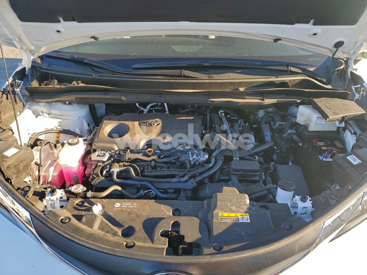 Photo 12 of 2025 TOYOTA SIENNA LE (VIN 5TDBRKEC4SS255425)