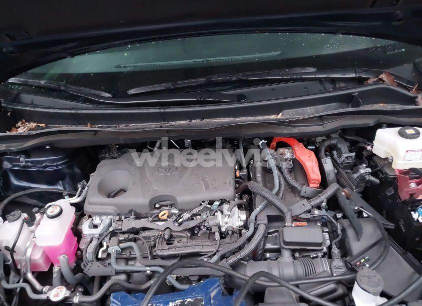 Photo 10 of 2024 Toyota Sienna LE (VIN 5TDBSKFC7RS118282)