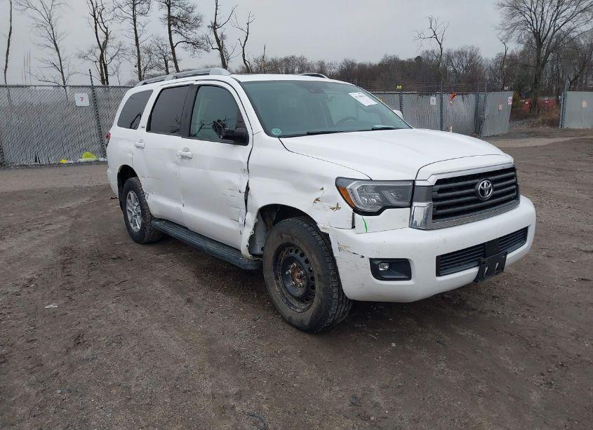2019 Toyota Sequoia SR5 (VIN 5TDBY5G10KS173577) main photo