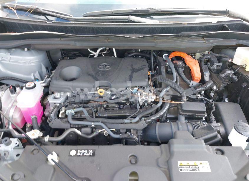 Photo 10 of 2024 Toyota Sienna WOODLAND EDITION (VIN 5TDCSKFC0RS120217)