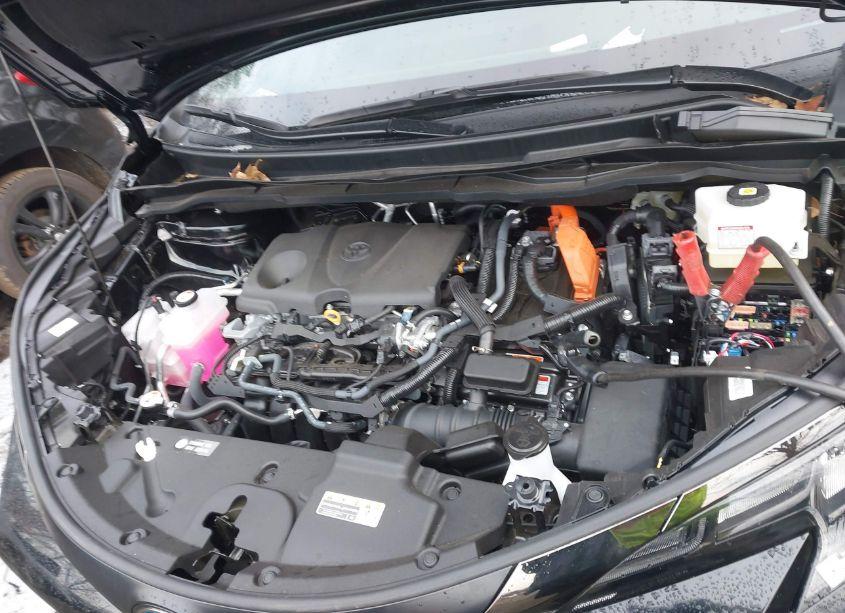 Photo 10 of 2024 Toyota Sienna WOODLAND EDITION (VIN 5TDCSKFC0RS129029)